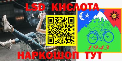 СК Камышлов