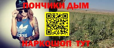 ALPHA PVP Кандалакша