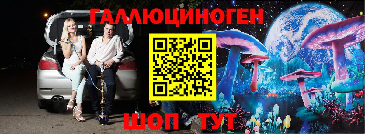 Чебоксары  закладка  Псилоцибиновые грибы мухоморы  Вход с VPN  Псилоцибиновые грибы ЛСД 